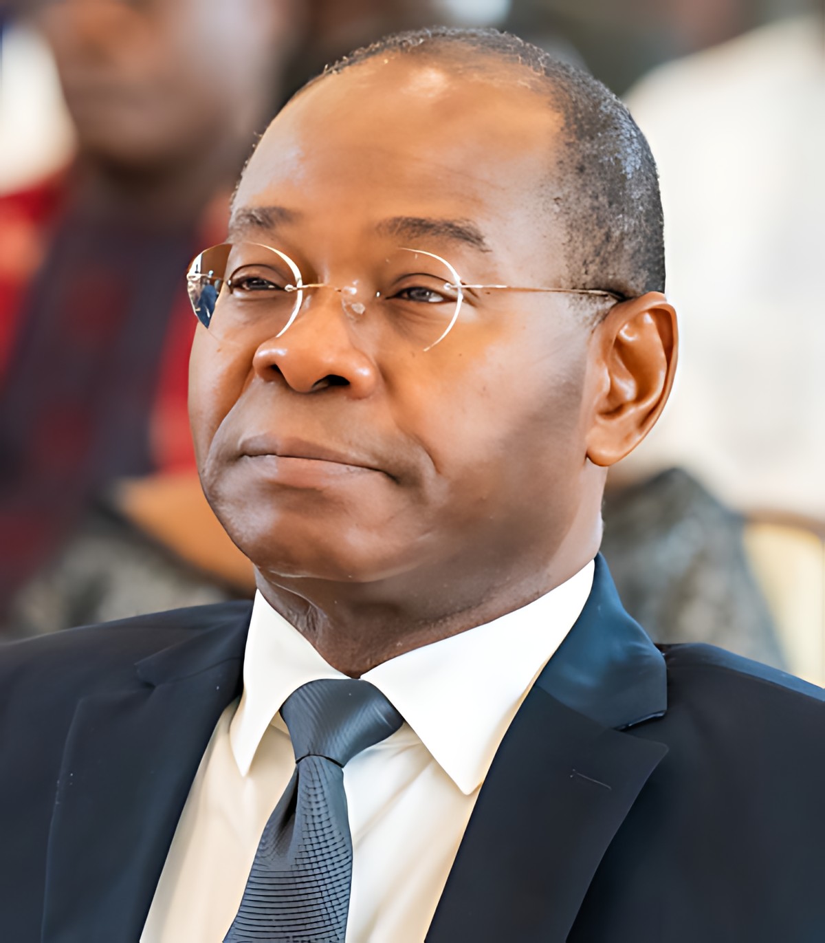 Pr Épiphane SOHOUÉNOU, préfacier de Quand la bonne rédaction ne suffit pas
